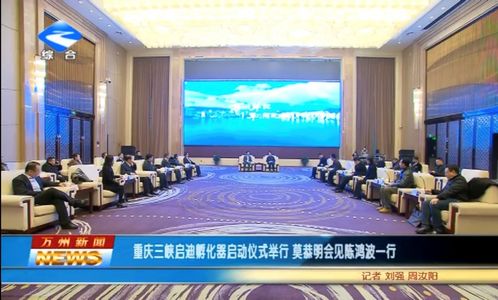 三峡启迪孵化器启动仪式暨区域创新生态产业链发展论坛在重庆隆重举行