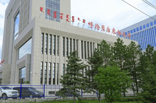 呼伦贝尔市农担公司 深耕金融服务 助推乡村振兴